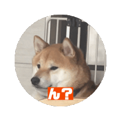 Haruki_20251226112215