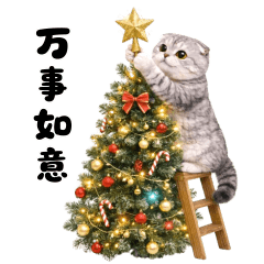 灰色的貓慶祝聖誕節和新年