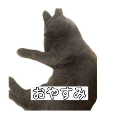 Chabami_20251226115526