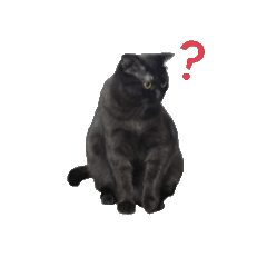 會動的海膽 ㄨㄋㄧ