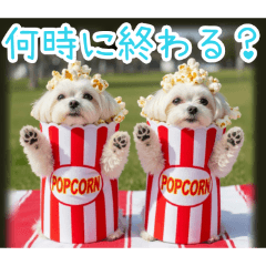 PAKAMOGOLY_20251225220249