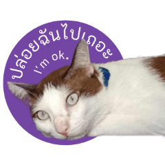 Nm rongreiyn (E-Naem)_20251225230459