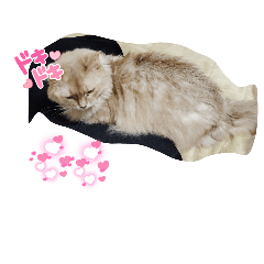 yuuuuuchan_20251226092659