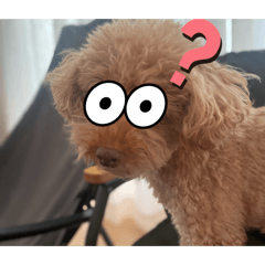 u-chan_20251226094034