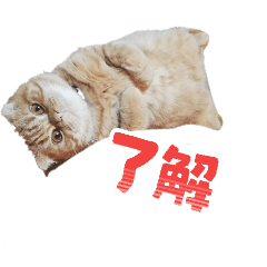 suzuyatuko_20251226094128