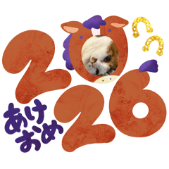 ayumi_20251226100126