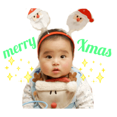 beagle&Jack Russell_20251226112546