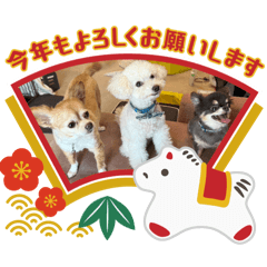 Mizuki_20251226112128