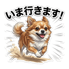 Chiwawa's Happy ver2