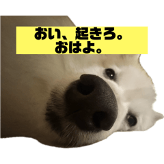 KawakamiYuzo_20251226113906