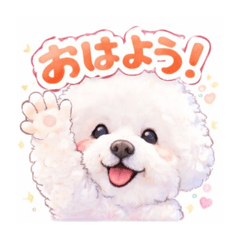 petit_20251226113925