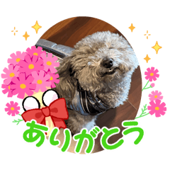 toufumama_20251226113428