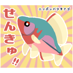 Ryoku_35_20251226113009