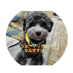 hacha_20251226113652