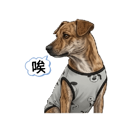 文青雅虎第二彈