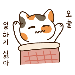 Calica's Daily Life.k