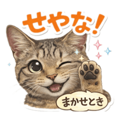 jjjjjjj_20251226122447