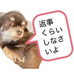 akiko_20251226123336