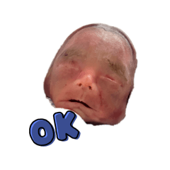 wataru_20251224203510