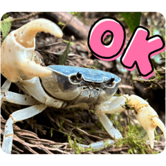 nakkaa_20251224201730