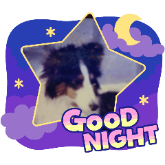 naozo_20251224211302