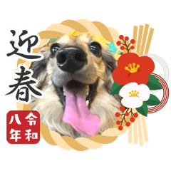 ritto_20251226124827