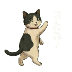 kenzu_20251226130147