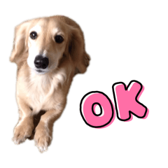 Matsuu_20251226130420