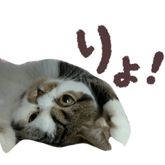 hanabi_20251226130130