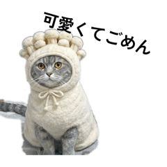 BOBLOVE_20251226130141