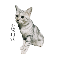 大寶 日常第二季