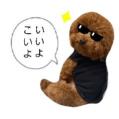 DOG.LOVE_20251224201913