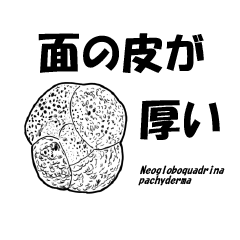 foraminifera sticker