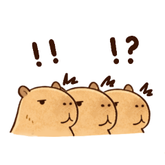 mattaripan_Capybara Triplets