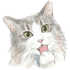 ミヌエット&ノルジャン色々な表情スタンプ