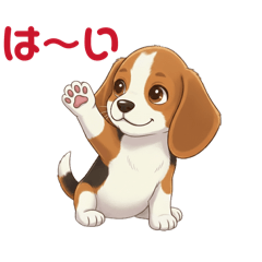 BeagleDog Haruchan