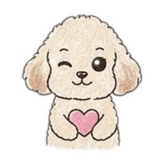 miyarun_20251226113340