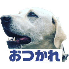 usuke_20251226131509