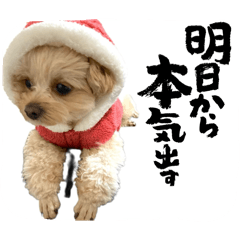 miyabi_20251226141936