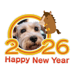 tomomi_20251227013253