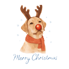 Bluey's day and year