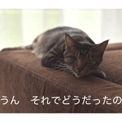 Goronyaago_20251226151900