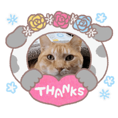 kotamama_20251225111938