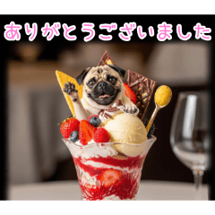 PAKAMOGOLY_20251226164409