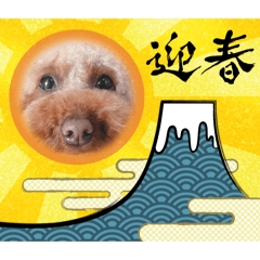 manty_20251225114021