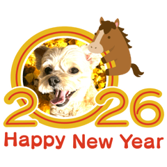 maron_20251226170856