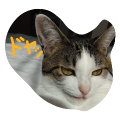 rinko_20251226172723