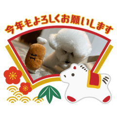 mocchan_20251226173115