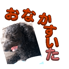 mirai_20251226193418