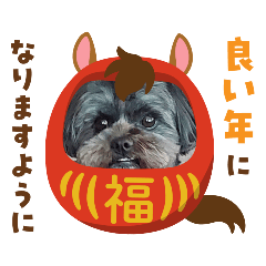 macctni_20251226173050